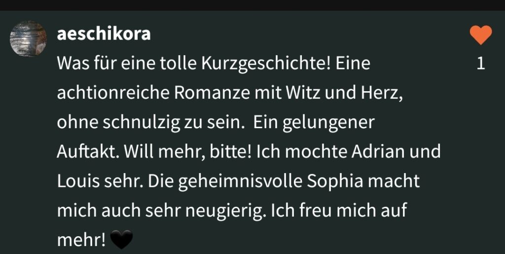 AE Schikora Rezension