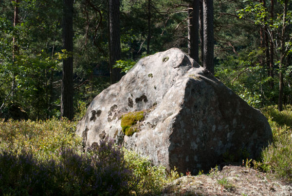Schweden Autorin im Urlaub 08
