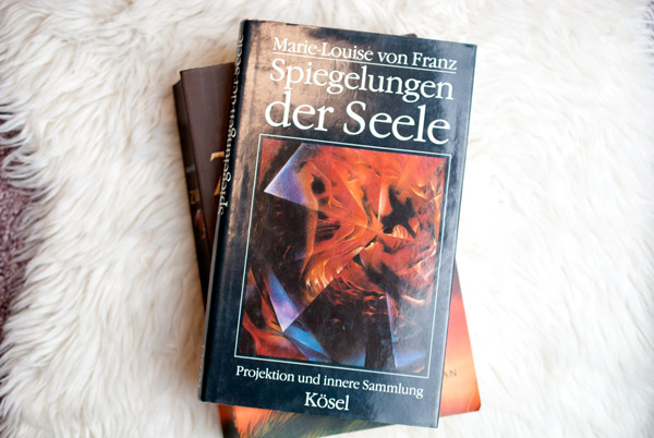Spiegelungen der Seele Buch