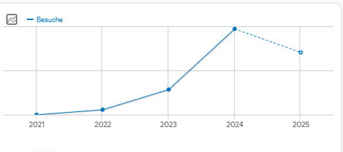Blog Seitenaufrufe 2025